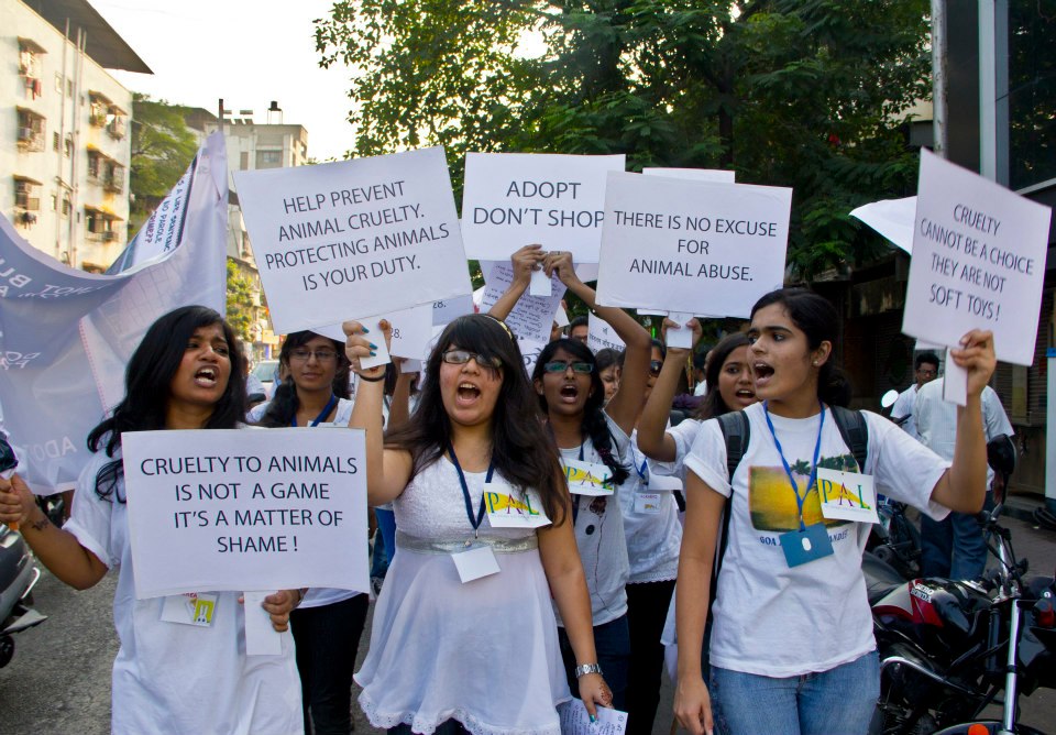 The PAL to animals in Thane