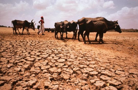 State’s set up a bank account for drought relief