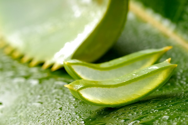 Why aloe vera is great for you