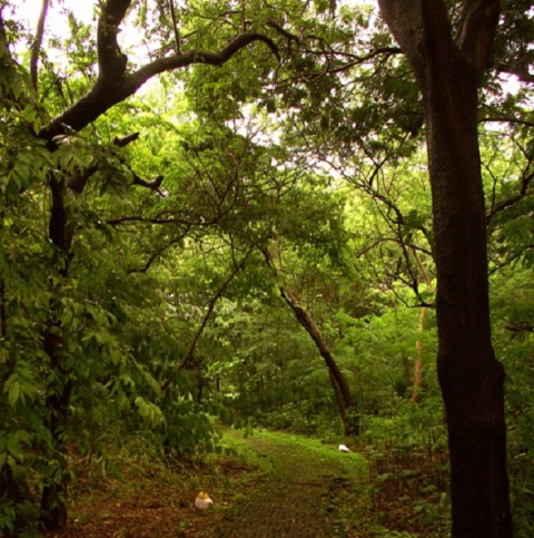 Nature in the midst of crowds: Maharashtra Nature Park