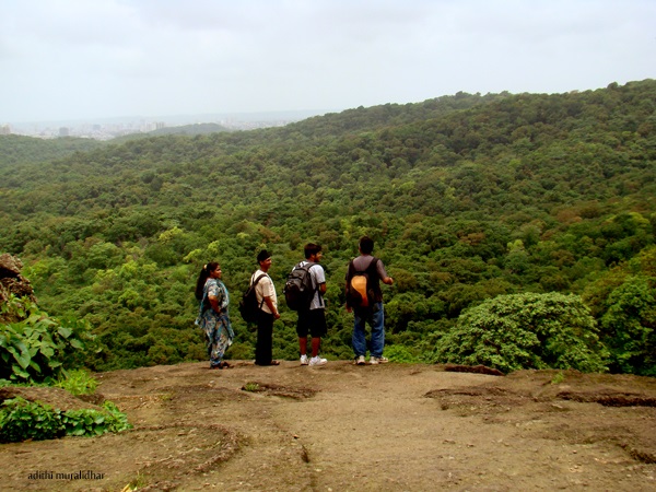 Borivli’s green retreat: Sanjay Gandhi National Park
