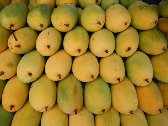 Mangoes to cost more this season?